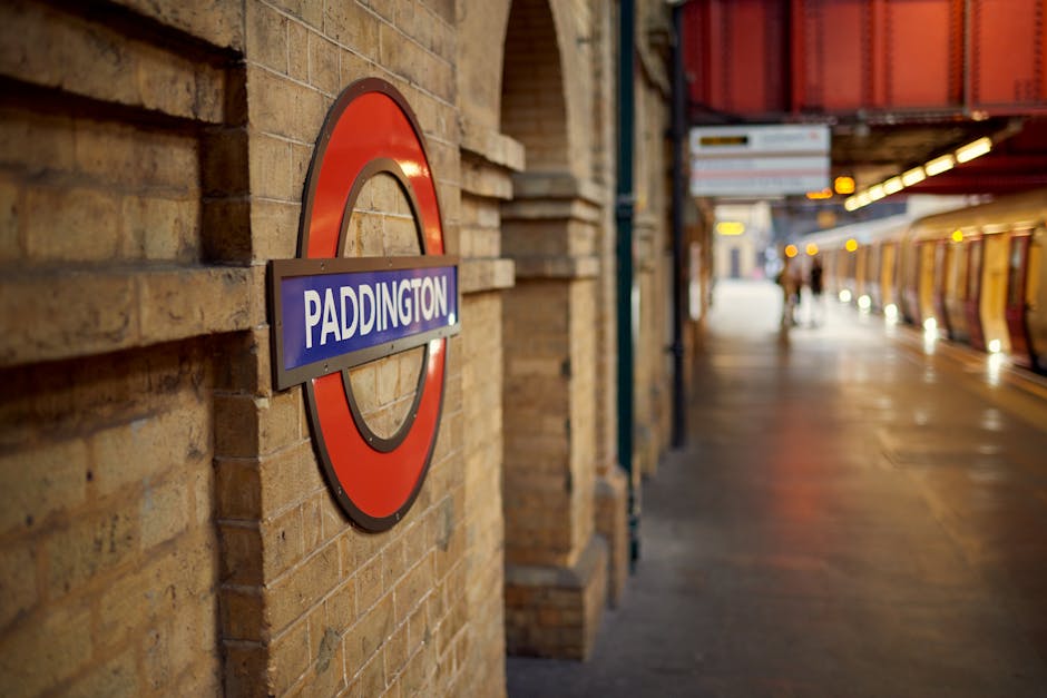 A detailed view of the ornate, arched ceiling inside Paddington Station, showcasing intricate ironwork and decorative elements painted in white and black. The roof features a series of glass panels al