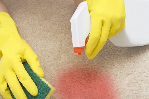 Professional pet stain and odour removal treatment in a Bayswater home carpeted room