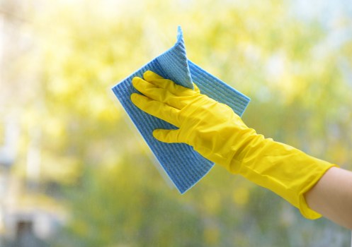 Prepared cleaning supplies for house cleaning appointments in Bayswater