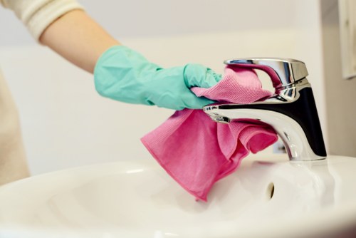Professional stain removal service for a Bayswater home carpet