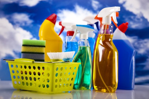 Detailed bathroom deep clean in Bayswater property