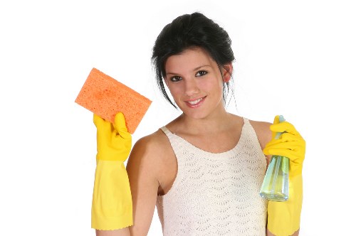 Local Bayswater technician treating lingering pet odour in a residential property