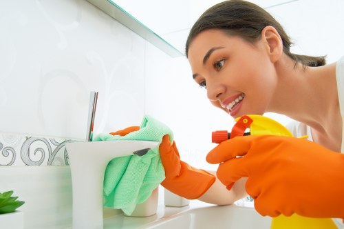 Domestic cleaning in a Bayswater apartment with careful attention to detail