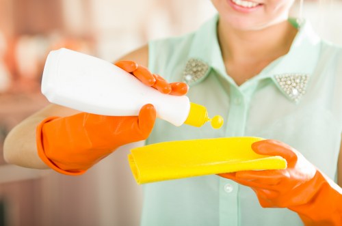 Local cleaners maintaining a Bayswater apartment