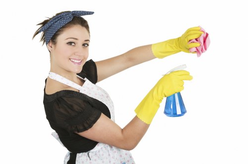 Deep cleaning equipment used by Bayswater carpet cleaners