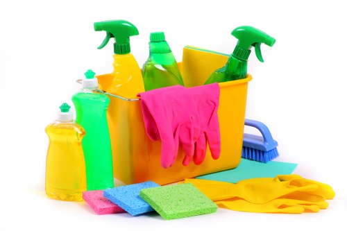 Local vacate cleaners working in a Bayswater apartment